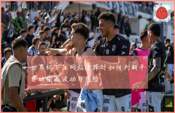 世界杯下注网站选择时如何判断平台的输赢波动与风险