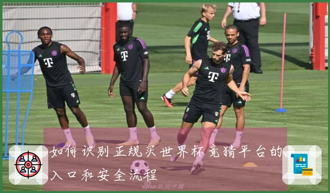 如何识别正规买世界杯竞猜平台的入口和安全流程