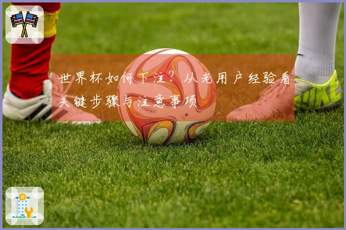 世界杯如何下注？从老用户经验看关键步骤与注意事项