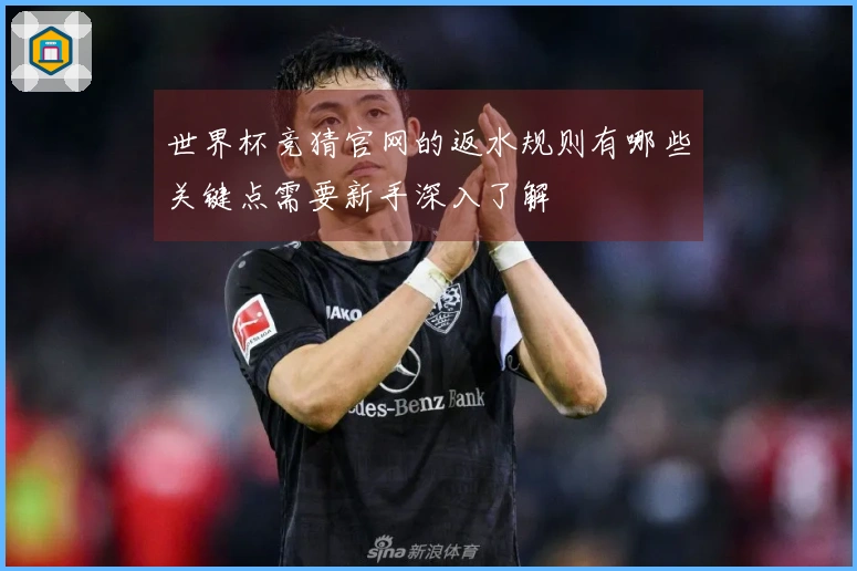 世界杯竞猜官网的返水规则有哪些关键点需要新手深入了解