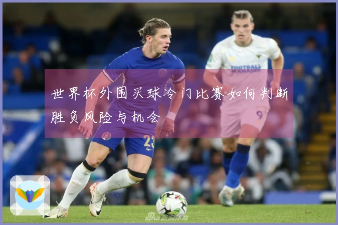 世界杯外围买球冷门比赛如何判断胜负风险与机会