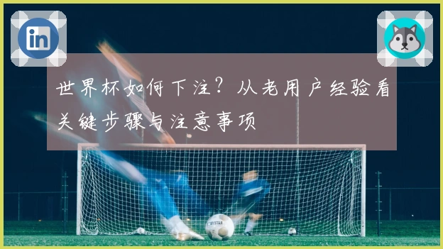世界杯如何下注？从老用户经验看关键步骤与注意事项