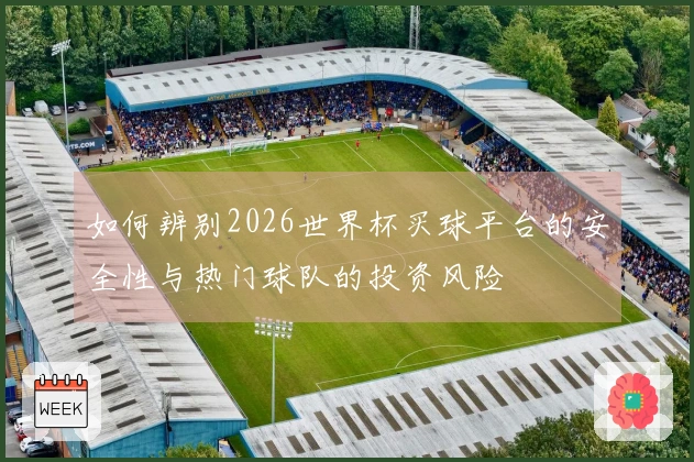 如何辨别2026世界杯买球平台的安全性与热门球队的投资风险