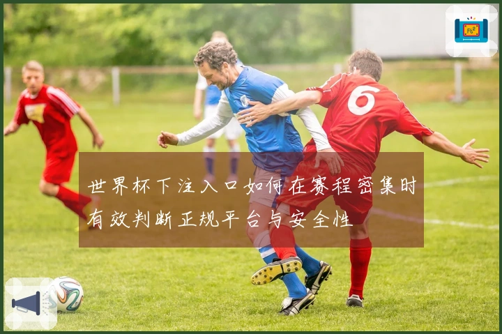 世界杯下注入口如何在赛程密集时有效判断正规平台与安全性